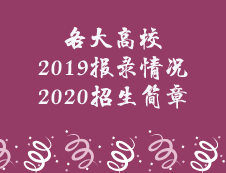 一大波報錄比即將來襲，更有新鮮的院校招生簡章，請查收！